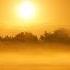 1 Hour Schubert Serenade Standchen Relaxing Piano With 4K Aerial Autumn Forest Film