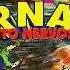 CD Furacão 2000 Tornado Muito Nervoso Completo