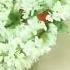Mullai Malligai Flowers Pothi Vacha Flowerslovers Pleaselikesharesubscribe