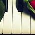 Delibes The Flower Duet From Lakmé