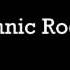 Ethnic Rock By Slay
