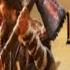 KESARI VEER REVIEW KESARI VEER MOVIE REVIEW KESARI VEER PUBLIC REACTION CBFC CENSOR SCREENING