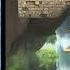 Super Smash Bros Brawl Bramble Blast Ludosmo Remix