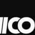Nico D Jungelen