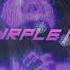 Ambassador Purple Ice
