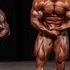 Mr Olympia 212 Pre Judging II Chennai Fitness II Mr Olympia 2020 II Bodybuilding Channel