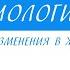 7 класс Биология Сезонные изменения в жизни птиц