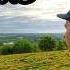What Happened To Britain S Wild Rabbits