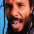 Lift Our Spirits Raise Our Voice Ziggy Marley Official Video