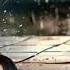 Smrookies Girls Someday Rainy Day Version Shining Star