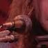Neil Young Heart Of Gold From Across The Water Archives Vol III Official Music Video