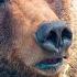 America S National Parks Hidden Gems S2 MEGA EPISODE National Geographic
