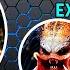 Predator Complete Movie Franchise And Timeline Explained