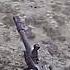 A 10 Warthog Saves The Day