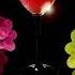 Scooter Summer Wine 2000