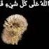 Inna Allaha Ala Kulli Shay In Qadir Quran Islam Shorts Trending Fyp