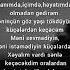 Apardı Bir Qerib Xeyal O Ilere O çağlara