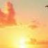 Caribbean Sunshine Sax Relaxing Reggae Instrumental