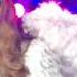Final Feliz Danna Paola Noches De Mala Fama 2019 Daddy CDMX