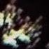 Oliver Coates Entropy1