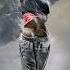 Denis Kenzo Fahjah Kate Miles Who I Am Extended Mix