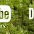 Dog Park Silent Partner No Copyright Music By YouTube Audio Library