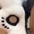 Furry TikTok Rock And Roll