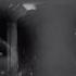 Michelle Gurevich Poison In My Mind