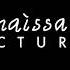 Renaissance Pictures Logo