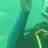 Royal Caribbean Harmony Of Seas Padi Certification