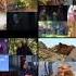 All Movies Playing At The Same Time