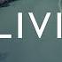 Grimes Oblivion