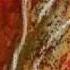 CannibalCorpse Staring Through The Eyes Of The Dead