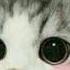 Ed Sheeran Justin Bieber I Don T Care Sped Up Ver