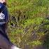 Single Mother Tu Tien Next To Another Man Will CEO Jack S Love Be Betrayed Ly Tu Tien
