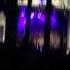 Ac Slater Electric Forest 2016