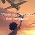 Avicii The Nights Lyrics