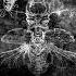 Tigerblood Jewel X THE ANXIETY Meet My Friends Dead Nd Mashup