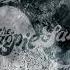 The Magpie Salute The Killing Moon