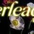 Vietsub Cheerleader Ashnikko Lyrics Video