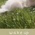 Wake Up Cheese People Slowed