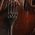 Secret Garden Appassionata Violin