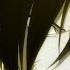 Anime Mix AMV Regenerated