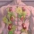 Manhwa Blmanhua Manga Bl Yaoi Cute Couple Family Gay Lgbt Yaoi Manga Shortsfeed
