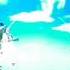 Wii Sports Resort Skydiving