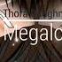 Megalo Strike Back Vocal Cover Melt S Version