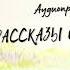 Проект Рассказы о России Читает Егор Серов