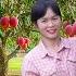 Harvesting Mangoes Turns Shocking Giant Python Discovered Hiding In The Garden DominionTV