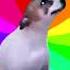 DANCE TILL YOU RE DEAD Nightcore Version