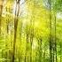 Peder B Helland Sunny Mornings Full Album